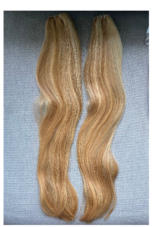 vietnamese weft single donor