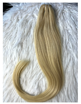 vietnamese weft single donor