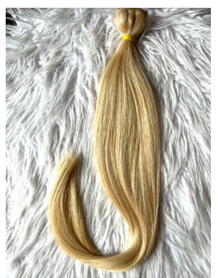 vietnamese weft single donor